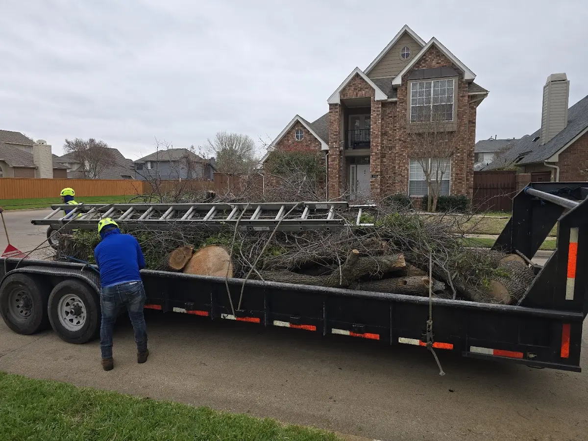 Expert Lot Clearing with proper safety equipment in Mascot